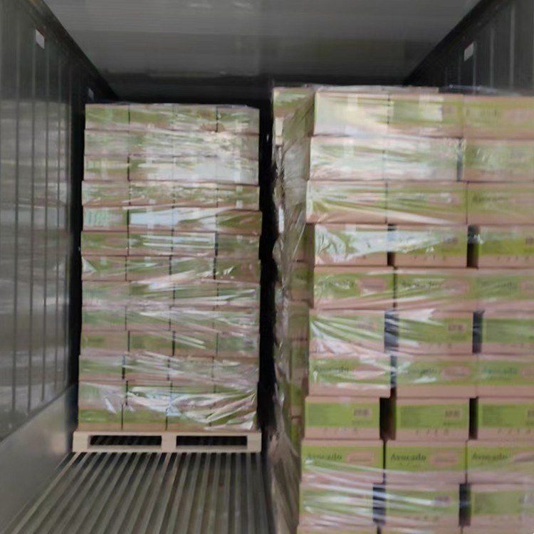 What is the true minimum container volume for shipping frozen novelty ice cream across the ocean