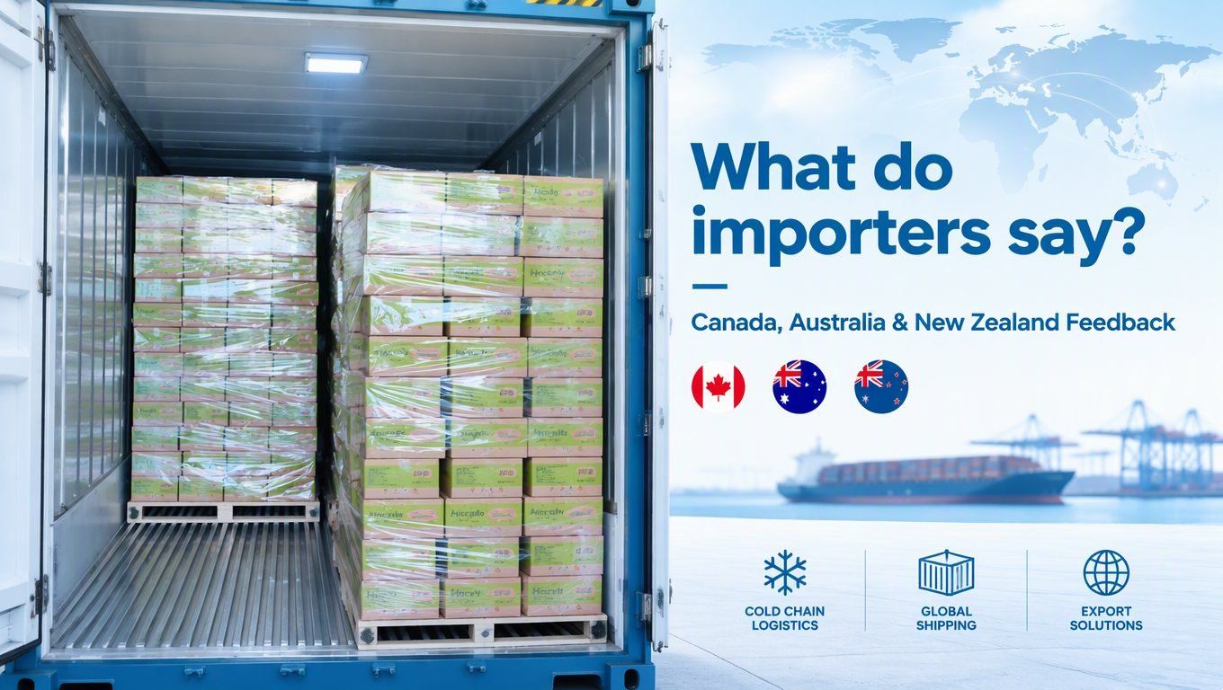 What do importers in Canada, Australia and New Zealand say about Hicey ice cream